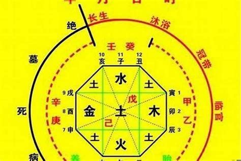 免費喜用神|八字喜用神